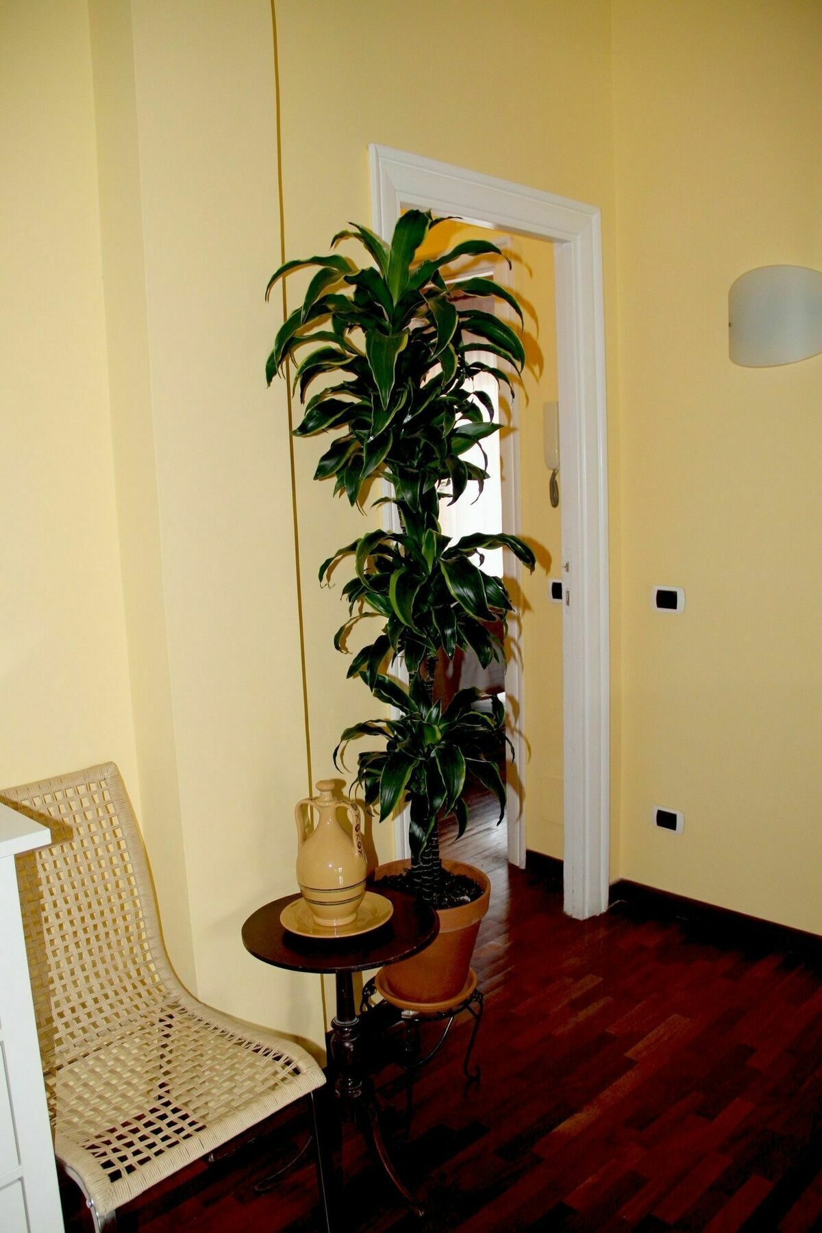 Le Finestre Sul Vaticano Guest house Rome